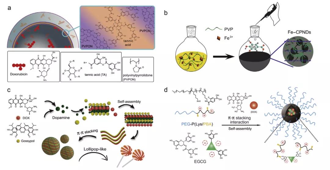 海藻硒啥产品好(海藻硒有几个品牌)-硒宝网
