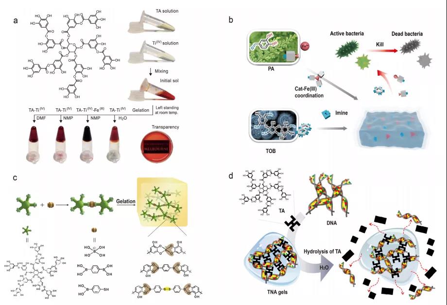 海藻硒啥产品好(海藻硒有几个品牌)-硒宝网