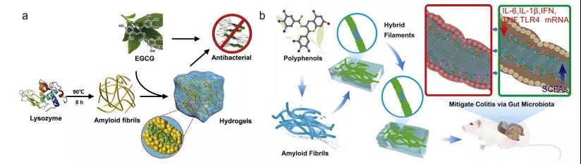 海藻硒啥产品好(海藻硒有几个品牌)-硒宝网