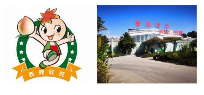 膳养天下硒产品(膳养天下下载登录)-硒宝网