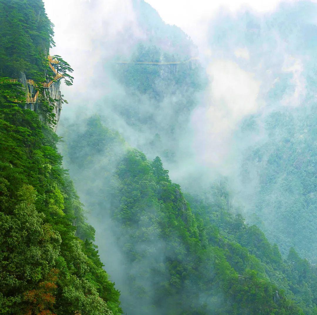 硒翠有什么产品(硒翠是什么)-硒宝网