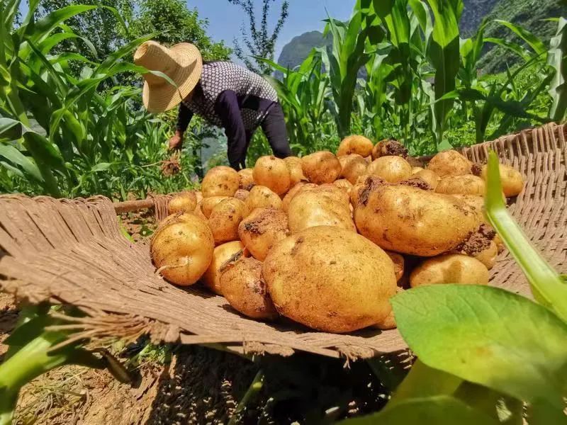 硒产品研究报告(研究硒获得的奖项是什么奖)-硒宝网