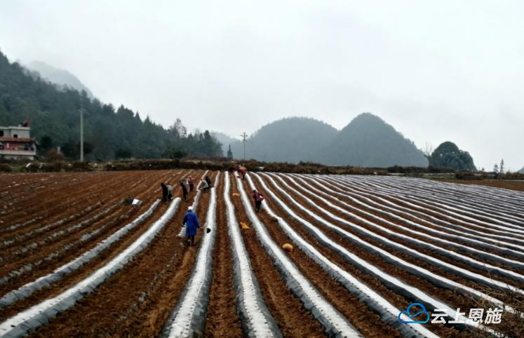 硒产品研究报告(研究硒获得的奖项是什么奖)-硒宝网