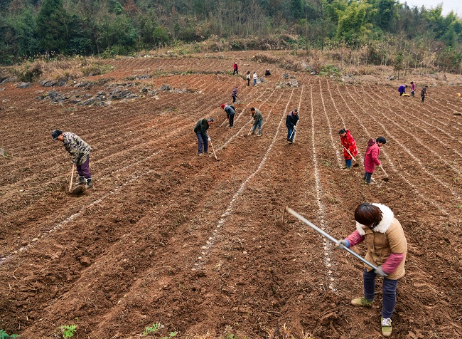 硒产品研究报告(研究硒获得的奖项是什么奖)-硒宝网