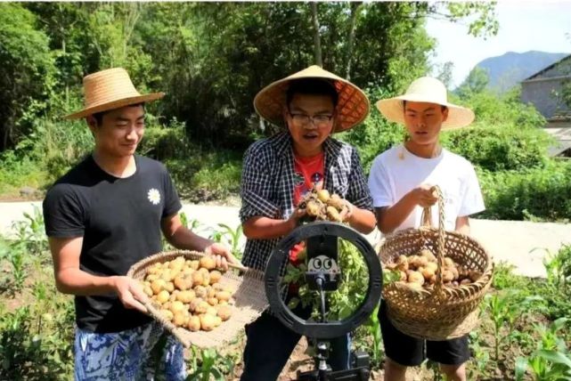 硒产品研究报告(研究硒获得的奖项是什么奖)-硒宝网