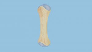 安徽硒之缘产品(安徽硒茶)-硒宝网