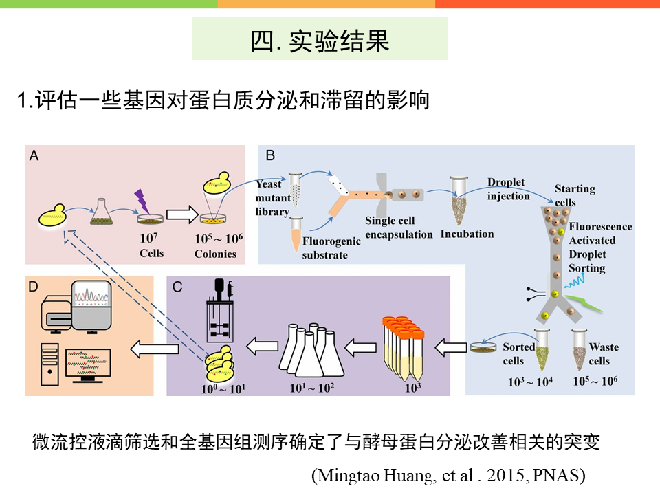 最原始的硒产品(的补硒产品)-硒宝网