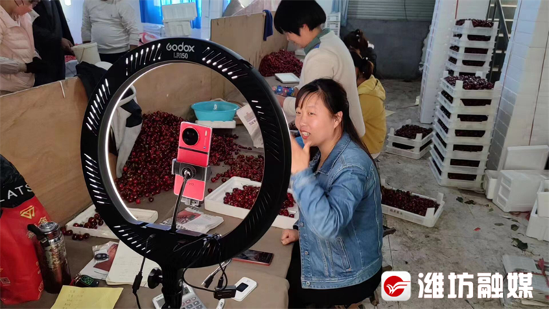 山东山旺硒产品（补硒产品图片琳琅满目）-硒宝网