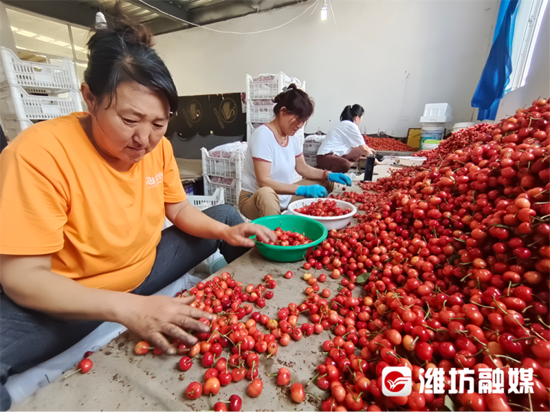 山东山旺硒产品（补硒产品图片琳琅满目）-硒宝网