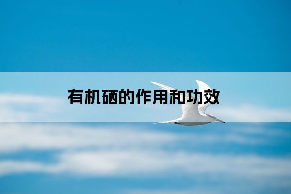 硒产品好吸收嘛（硒吸收）-硒宝网