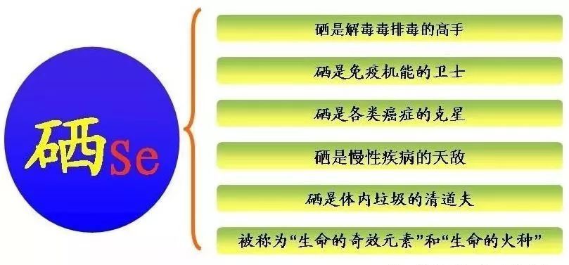 对硒产品的研究（硒的研究进展）-硒宝网