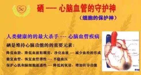 对硒产品的研究（硒的研究进展）-硒宝网