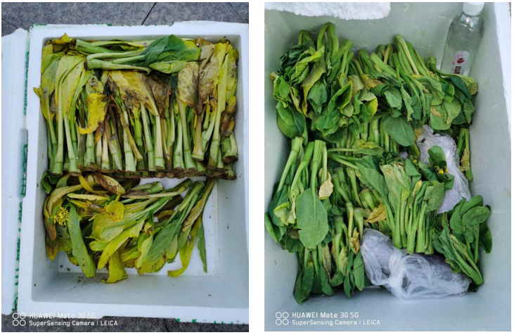 亚硒酸钠的产品（亚酸硒纳）-硒宝网