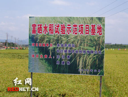 日本含硒的产品（含日本产品硒含量高吗）-硒宝网