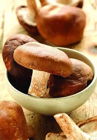 硒谷有什么产品(硒谷良品是做什么的)-硒宝网