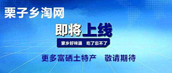 硒谷有什么产品(硒谷良品是做什么的)-硒宝网