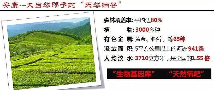 硒谷有什么产品(硒谷良品是做什么的)-硒宝网