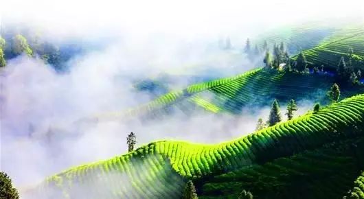 硒谷有什么产品(硒谷良品是做什么的)-硒宝网