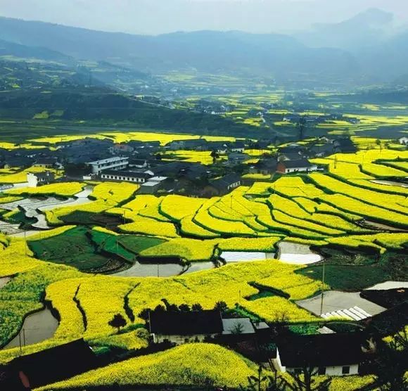 硒谷有什么产品(硒谷良品是做什么的)-硒宝网