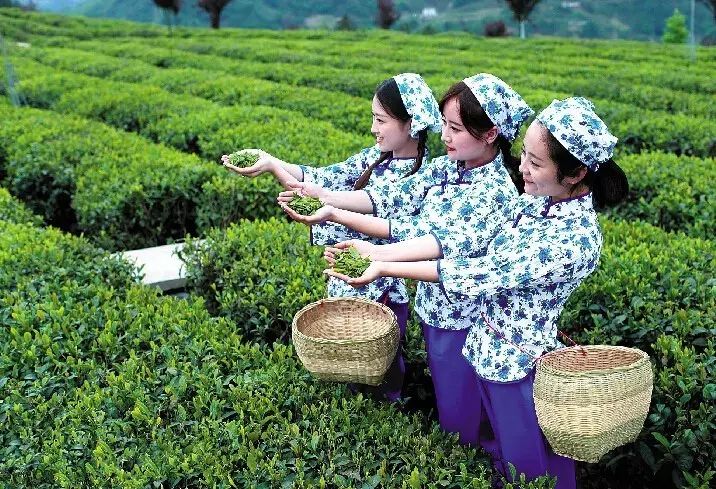 硒谷有什么产品(硒谷良品是做什么的)-硒宝网