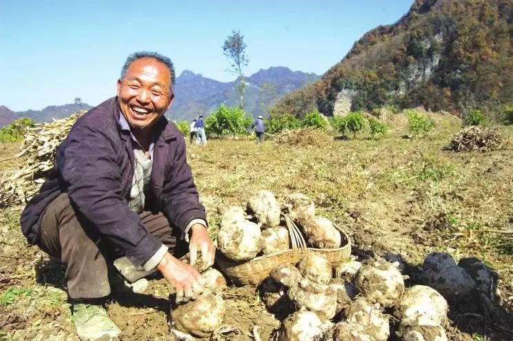 硒谷有什么产品(硒谷良品是做什么的)-硒宝网