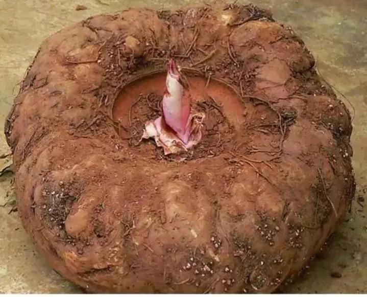 硒产品 董事长(硒产品 董事长)-硒宝网