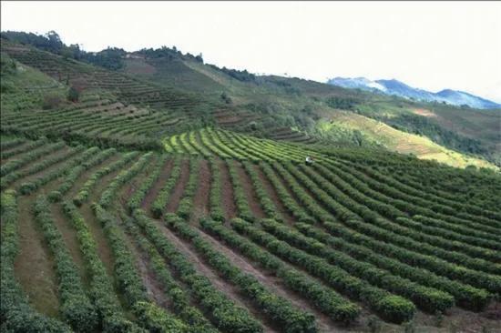 硒产品 董事长(硒产品 董事长)-硒宝网