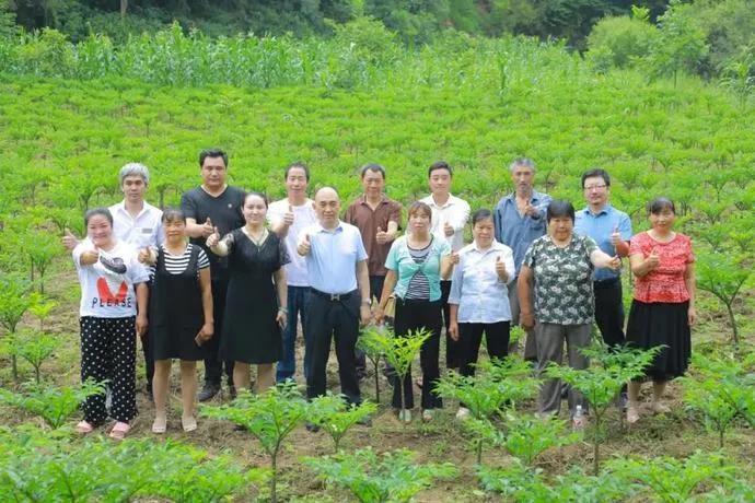 硒产品 董事长(硒产品 董事长)-硒宝网