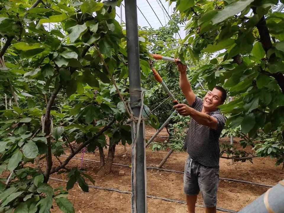 山东山旺硒产品（补硒产品）-硒宝网