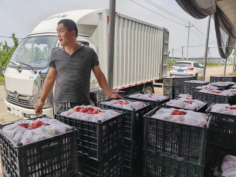 山东山旺硒产品（补硒产品）-硒宝网