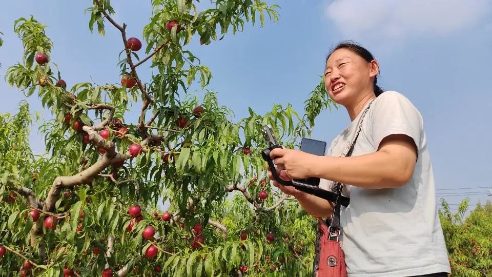 山东山旺硒产品（补硒产品）-硒宝网