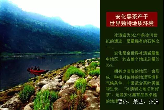 哪种含硒产品好（含硒高的产品）-硒宝网