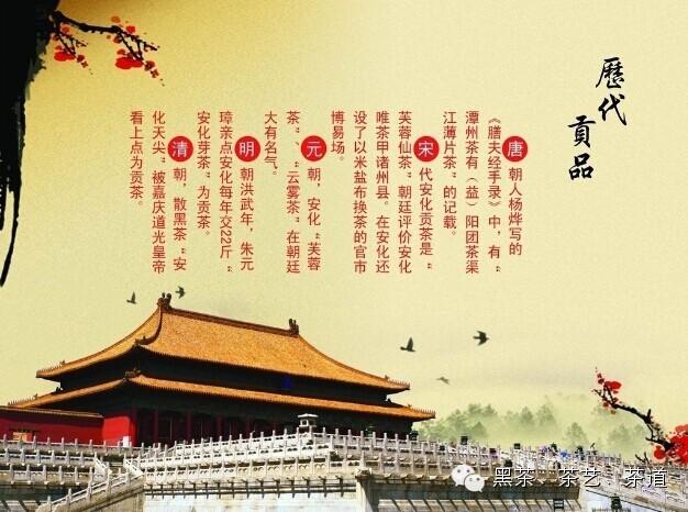 哪种含硒产品好（含硒高的产品）-硒宝网