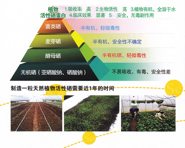 含硒的产品说明（含说明产品硒的食物）-硒宝网