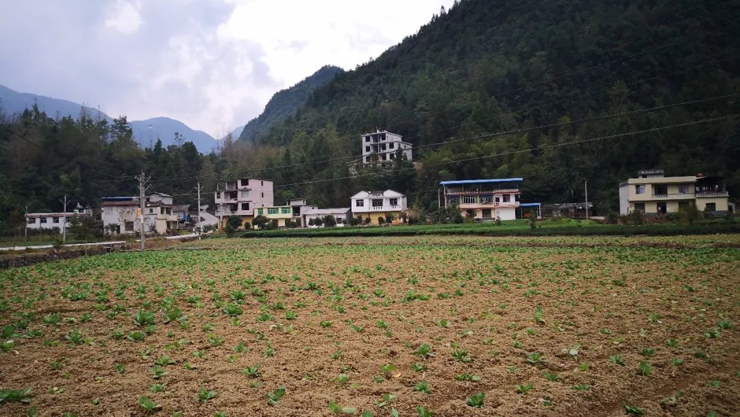 硒能生物的产品(硒生物素片起什么作用)-硒宝网