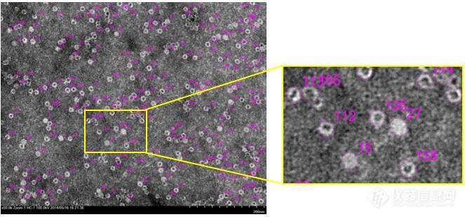 有液体硒产品吗(液体硒元素)-硒宝网