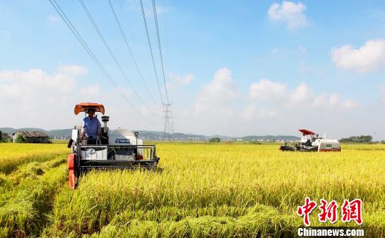 中国富硒产品网(中国富硒农业网)-硒宝网