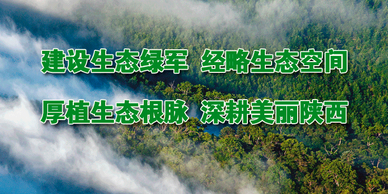 含硒农加工产品（农作物含硒多少比较好）-硒宝网