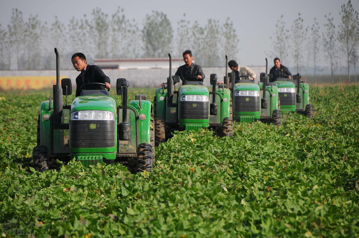 巴中富硒农产品(巴中富硒茶)-硒宝网
