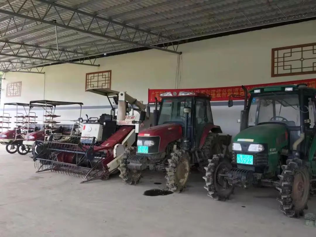 巴中富硒农产品(巴中富硒茶)-硒宝网