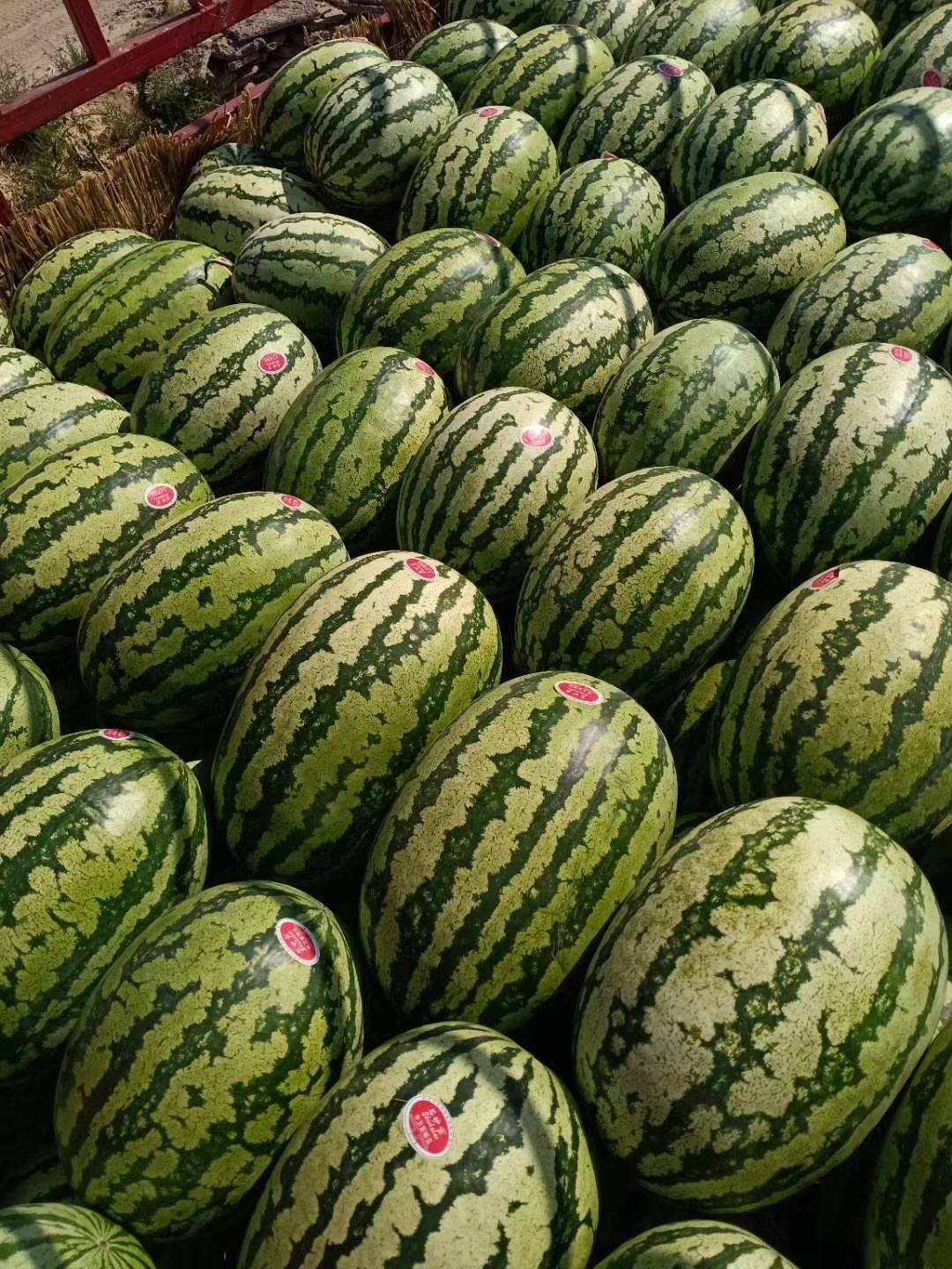 山东硒为贵产品(山东富硒)-硒宝网