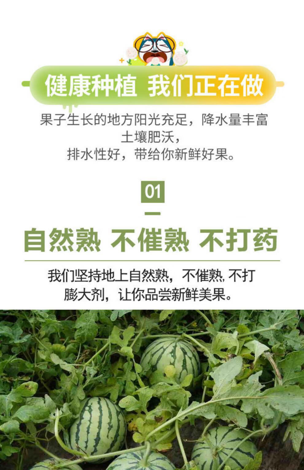 山东硒为贵产品(山东富硒)-硒宝网