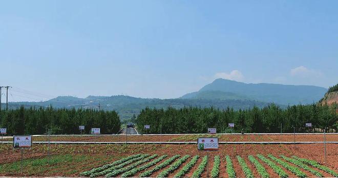 农产品中硒含量（农作物含硒多少比较好）-硒宝网