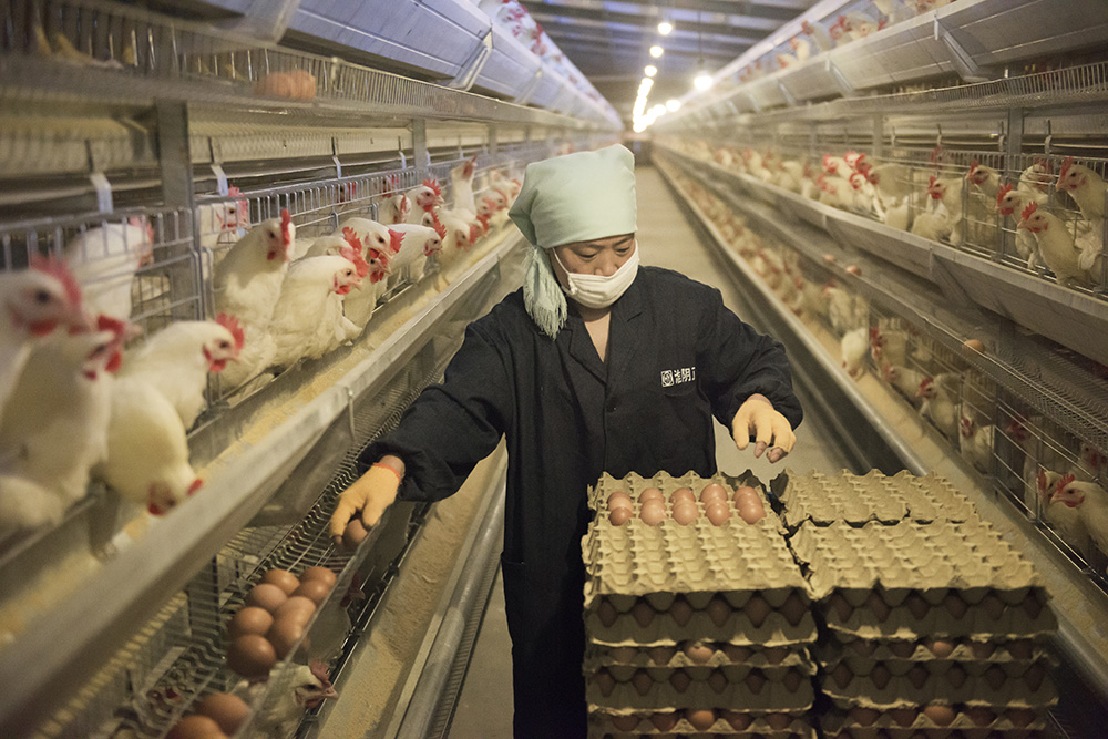 大硒谷农业产品（硒谷公司）-硒宝网