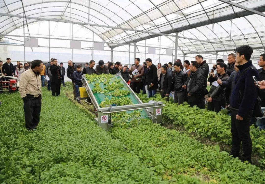 大硒谷农业产品（硒谷公司）-硒宝网