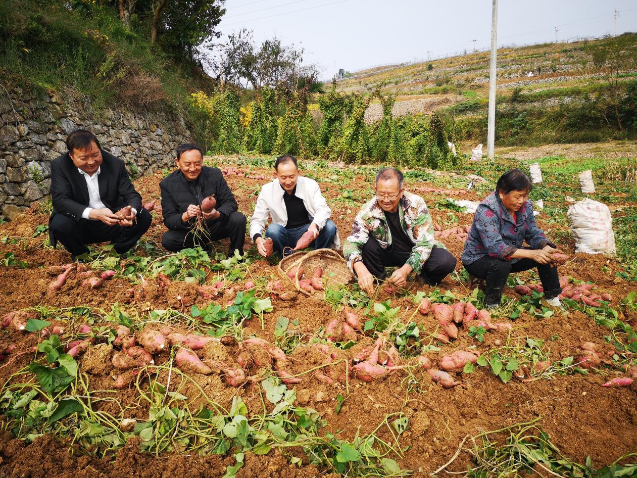 广东中硒农产品(广东硒元素分布)-硒宝网