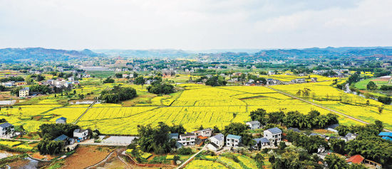 农科院的硒产品(农科院的硒多少钱一盒)-硒宝网