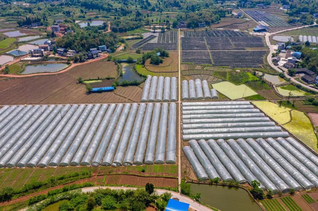 农科院的硒产品(农科院的硒多少钱一盒)-硒宝网