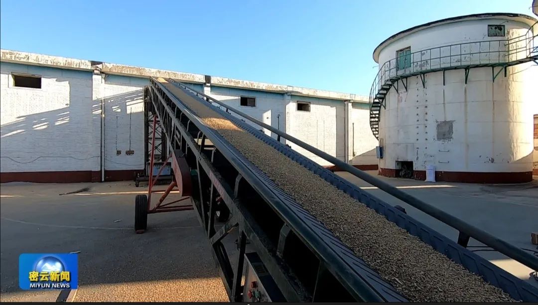 含硒农加工产品(硒食品添加)-硒宝网