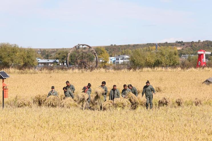 佳丰富硒农产品(丰硒农业)-硒宝网